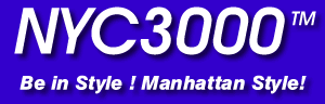 nyc 3000 bicycle model tm